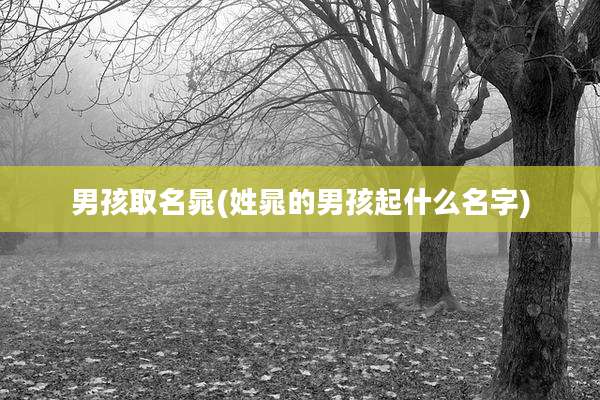 男孩取名晁(姓晁的男孩起什么名字)