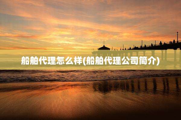 船舶代理怎么样(船舶代理公司简介)