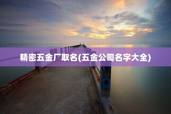 精密五金厂取名(五金公司名字大全)