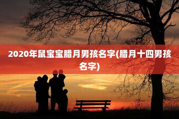 2020年鼠宝宝腊月男孩名字(腊月十四男孩名字)