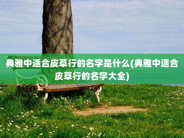 典雅中适合皮草行的名字是什么(典雅中适合皮草行的名字大全)