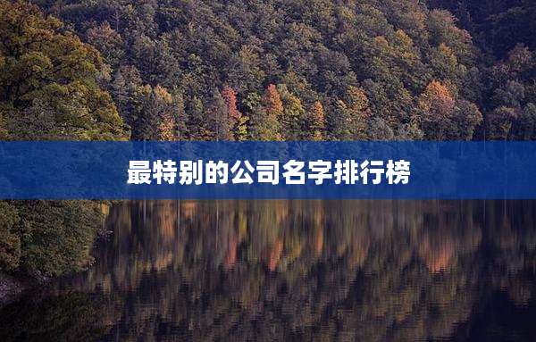 最特别的公司名字排行榜