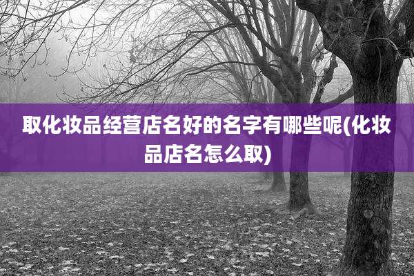 取化妆品经营店名好的名字有哪些呢(化妆品店名怎么取)