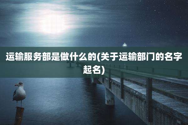 运输服务部是做什么的(关于运输部门的名字起名)