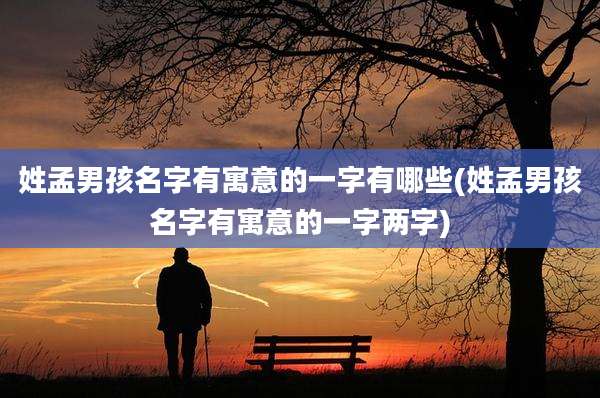 姓孟男孩名字有寓意的一字有哪些(姓孟男孩名字有寓意的一字两字)