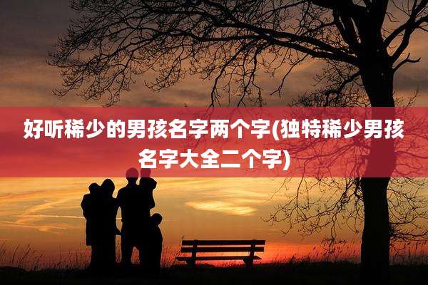 好听稀少的男孩名字两个字(独特稀少男孩名字大全二个字)
