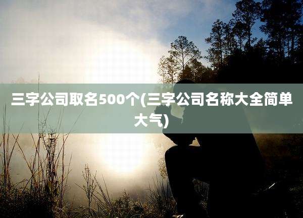 三字公司取名500个(三字公司名称大全简单大气)