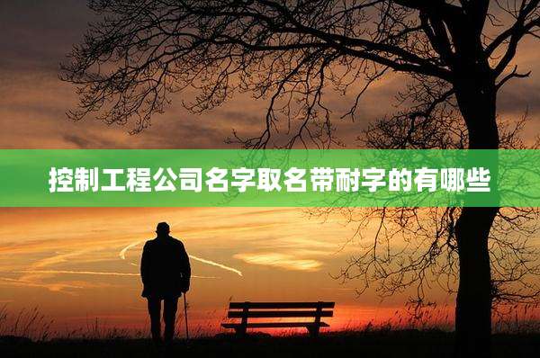 控制工程公司名字取名带耐字的有哪些