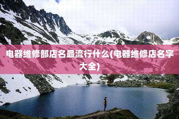 电器维修部店名最流行什么(电器维修店名字大全)
