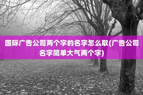 国际广告公司两个字的名字怎么取(广告公司名字简单大气两个字)