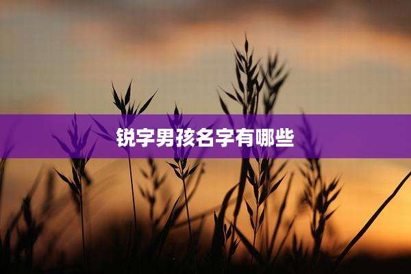 锐字男孩名字有哪些