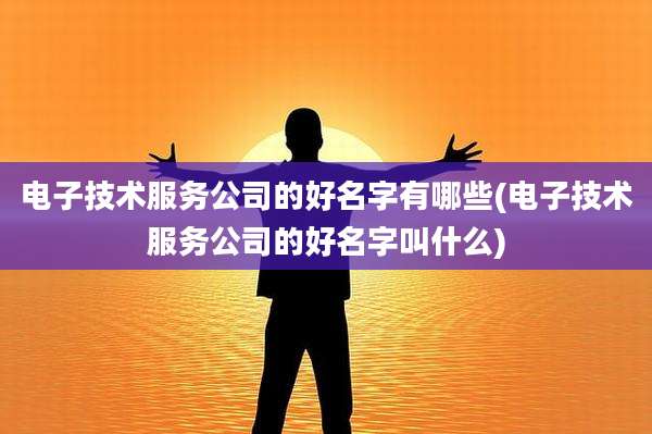 电子技术服务公司的好名字有哪些(电子技术服务公司的好名字叫什么)