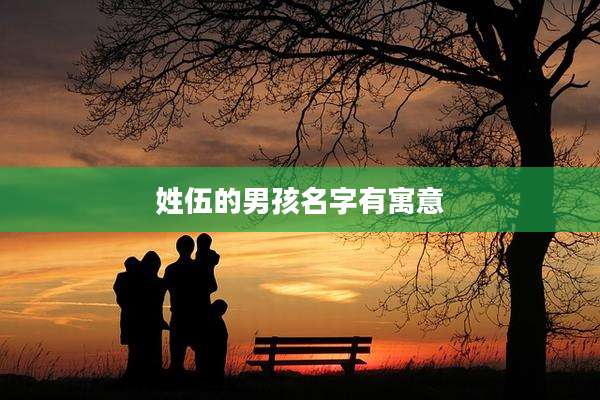 姓伍的男孩名字有寓意