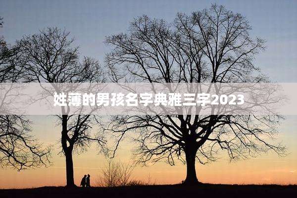 姓薄的男孩名字典雅三字2023