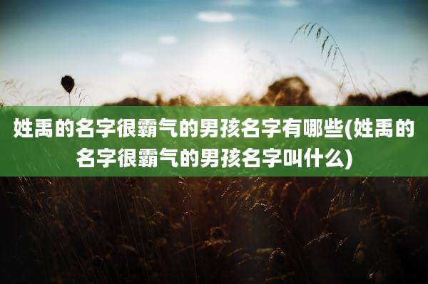 姓禹的名字很霸气的男孩名字有哪些(姓禹的名字很霸气的男孩名字叫什么)