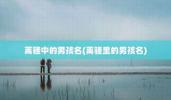 离骚中的男孩名(离骚里的男孩名)