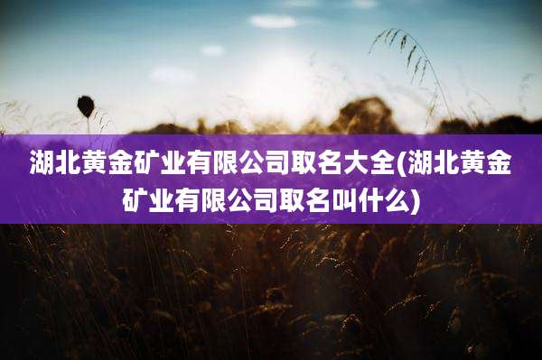 湖北黄金矿业有限公司取名大全(湖北黄金矿业有限公司取名叫什么)