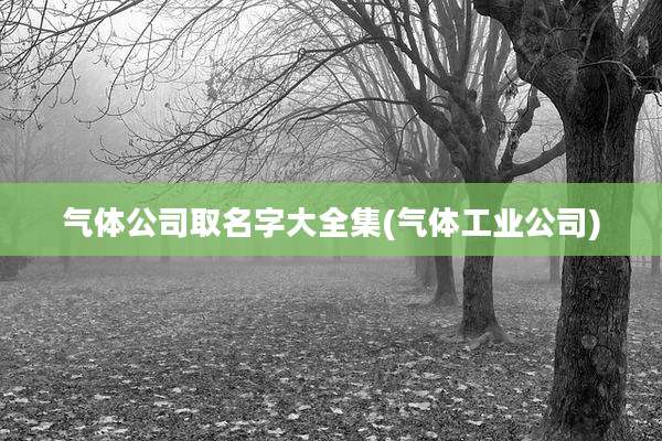 气体公司取名字大全集(气体工业公司)