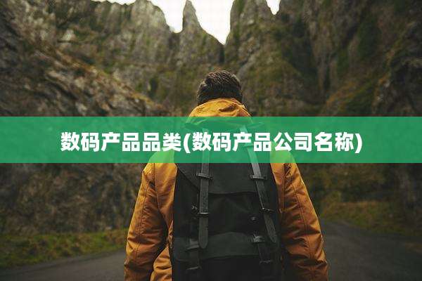 数码产品品类(数码产品公司名称)