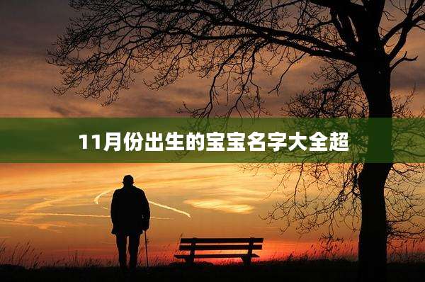 11月份出生的宝宝名字大全超