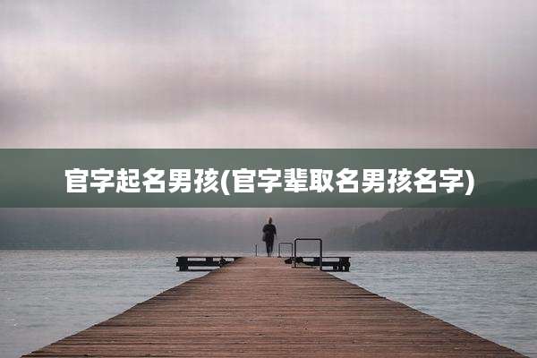 官字起名男孩(官字辈取名男孩名字)