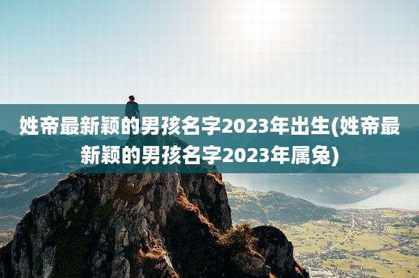 姓帝最新颖的男孩名字2023年出生(姓帝最新颖的男孩名字2023年属兔)