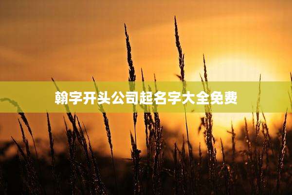 翰字开头公司起名字大全免费