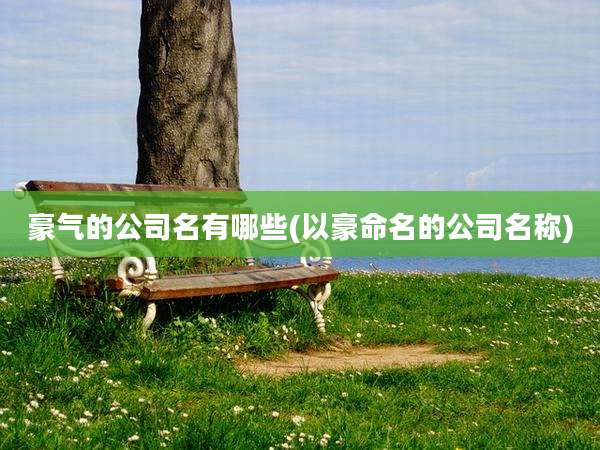 豪气的公司名有哪些(以豪命名的公司名称)