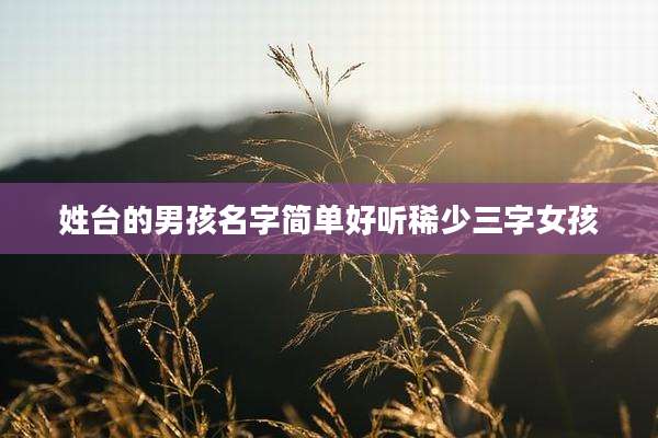 姓台的男孩名字简单好听稀少三字女孩