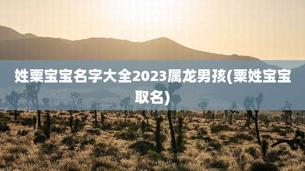 姓粟宝宝名字大全2023属龙男孩(粟姓宝宝取名)