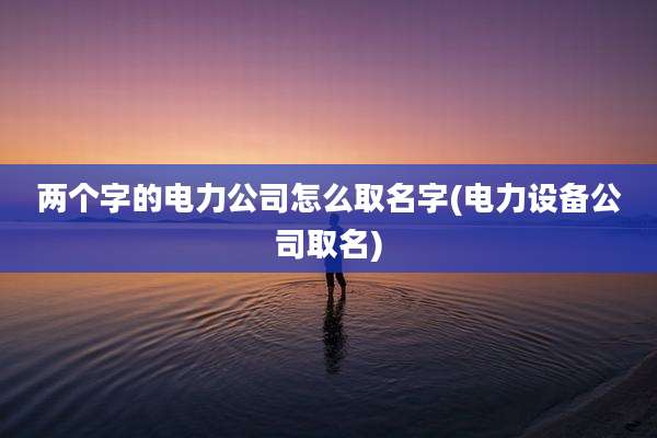 两个字的电力公司怎么取名字(电力设备公司取名)