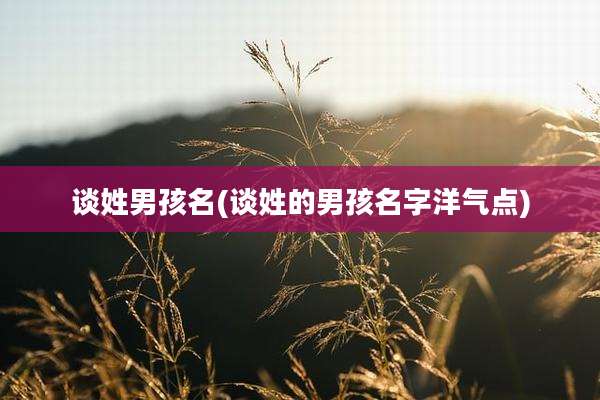谈姓男孩名(谈姓的男孩名字洋气点)