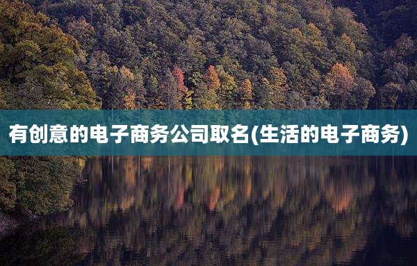 有创意的电子商务公司取名(生活的电子商务)