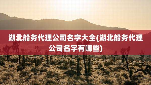 湖北船务代理公司名字大全(湖北船务代理公司名字有哪些)