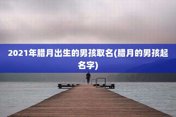 2021年腊月出生的男孩取名(腊月的男孩起名字)