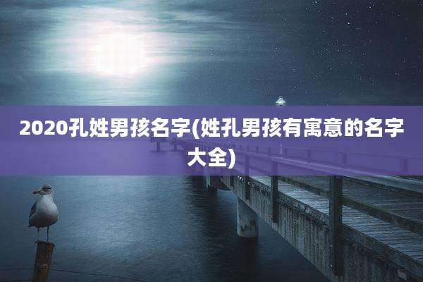 2020孔姓男孩名字(姓孔男孩有寓意的名字大全)