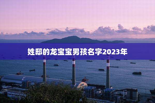 姓邸的龙宝宝男孩名字2023年