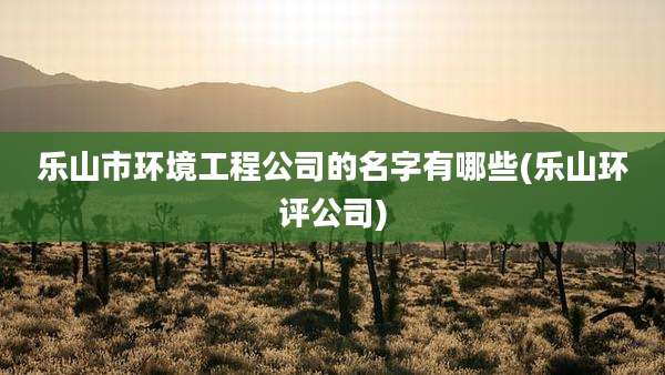 乐山市环境工程公司的名字有哪些(乐山环评公司)