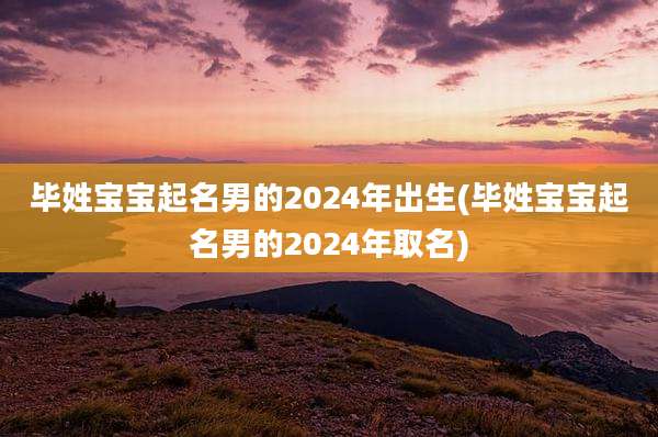 毕姓宝宝起名男的2024年出生(毕姓宝宝起名男的2024年取名)
