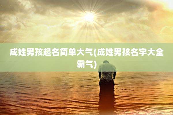 成姓男孩起名简单大气(成姓男孩名字大全霸气)