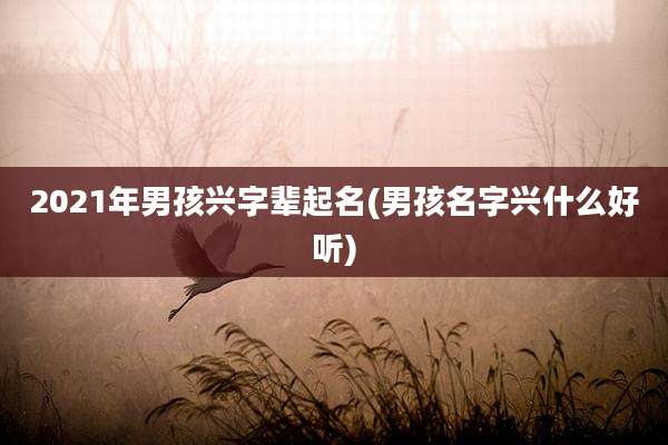 2021年男孩兴字辈起名(男孩名字兴什么好听)