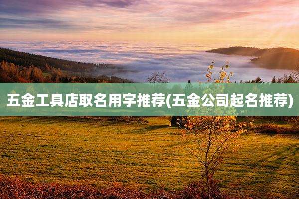 五金工具店取名用字推荐(五金公司起名推荐)