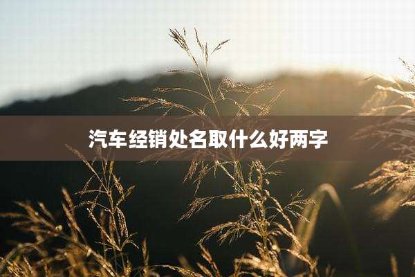 汽车经销处名取什么好两字