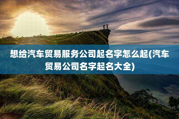 想给汽车贸易服务公司起名字怎么起(汽车贸易公司名字起名大全)