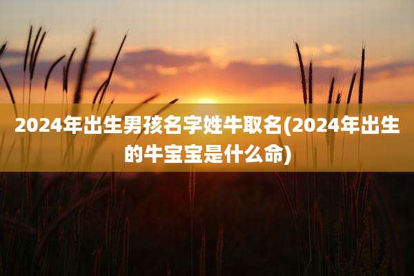 2024年出生男孩名字姓牛取名(2024年出生的牛宝宝是什么命)
