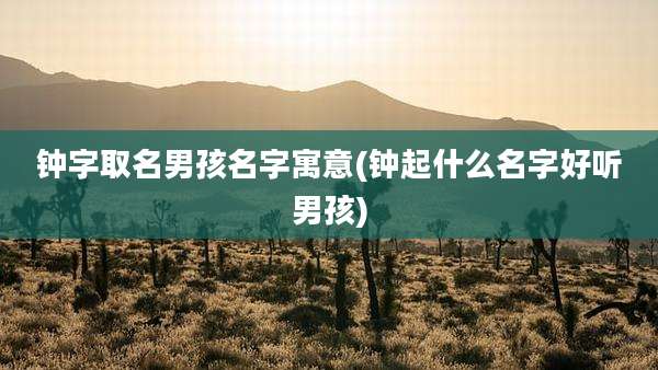 钟字取名男孩名字寓意(钟起什么名字好听男孩)