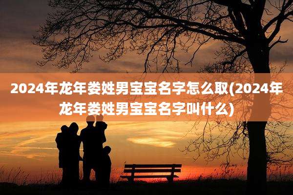 2024年龙年娄姓男宝宝名字怎么取(2024年龙年娄姓男宝宝名字叫什么)