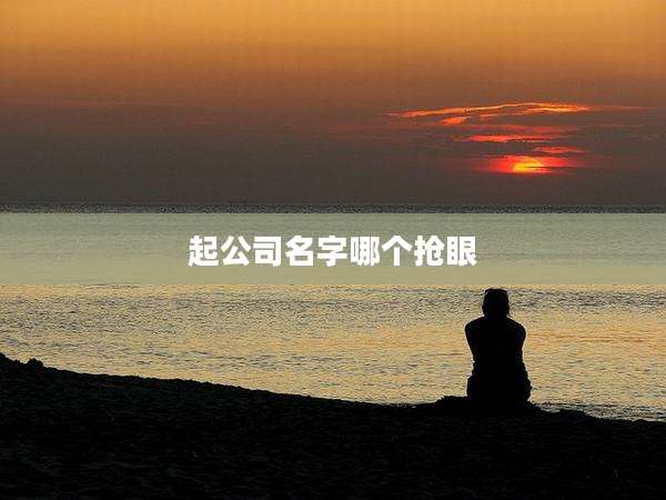 起公司名字哪个抢眼