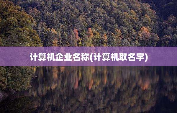 计算机企业名称(计算机取名字)