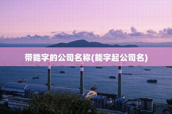 带能字的公司名称(能字起公司名)